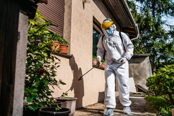 Best Spider Control Near Me  in Novato, CA