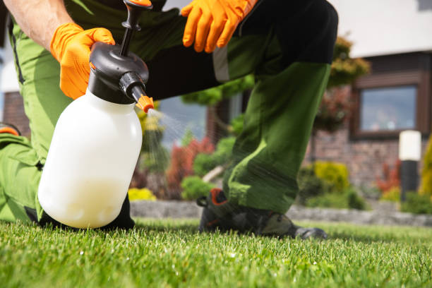 Best Commercial Pest Control Services  in Novato, CA