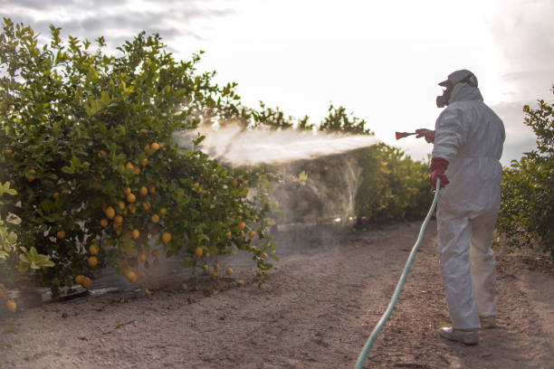 Best Best Pest Control Companies  in Novato, CA