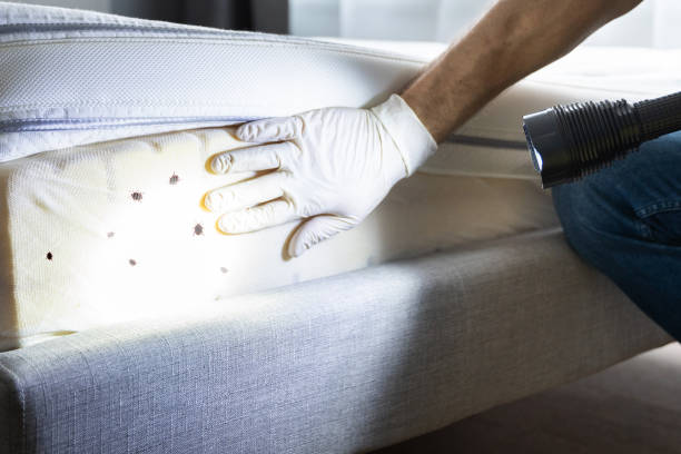 Wildlife Control Services in Novato, CA