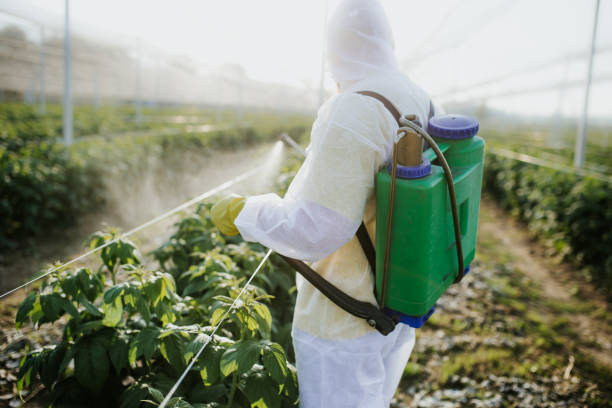 Best Mosquito Control Services  in Novato, CA